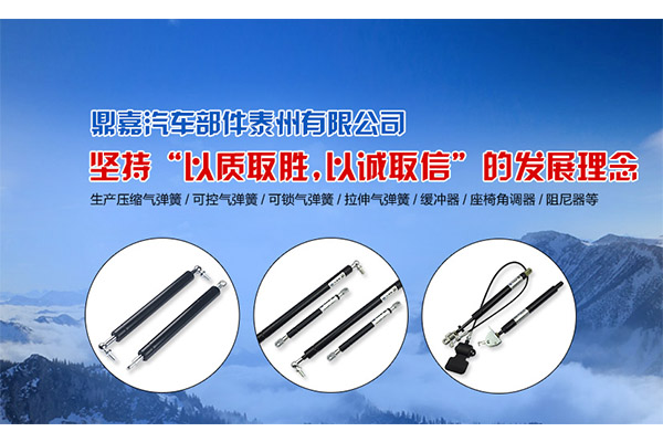江蘇銷售反拉氣彈簧廠家